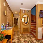 Walnut Shell 3*