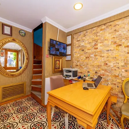 Walnut Shell איסטמבול