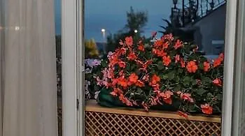 Walnut Shell Istanbul