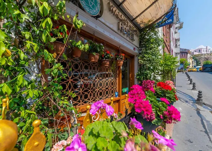 Walnut Shell 3* Istanbul