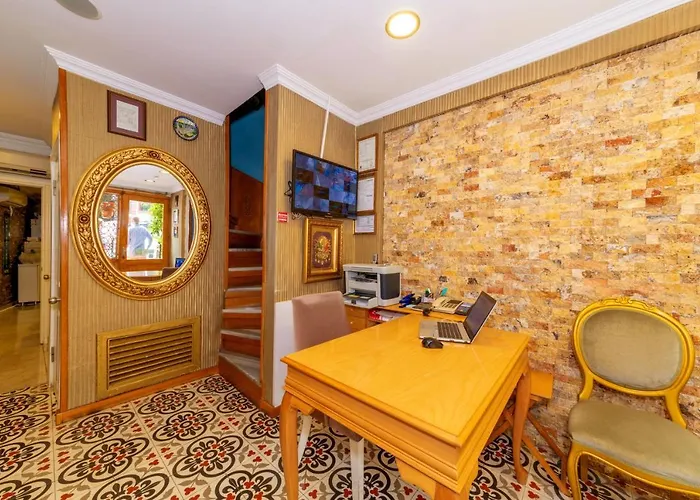 Walnut Shell Istanbul