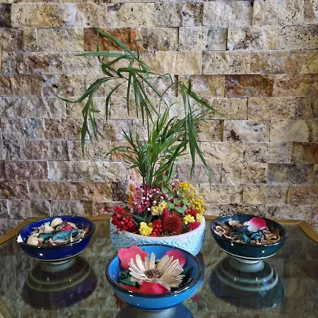 Walnut Shell - Old Sultanahmet 3*