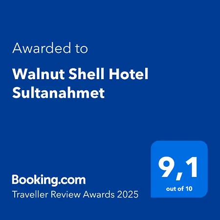 Walnut Shell - Old Sultanahmet