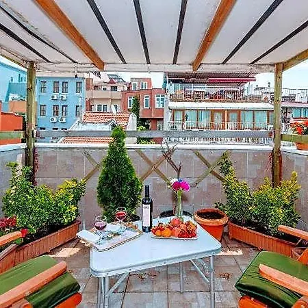 Walnut Shell Istanbul