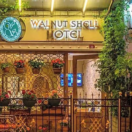 Walnut Shell Istanbul