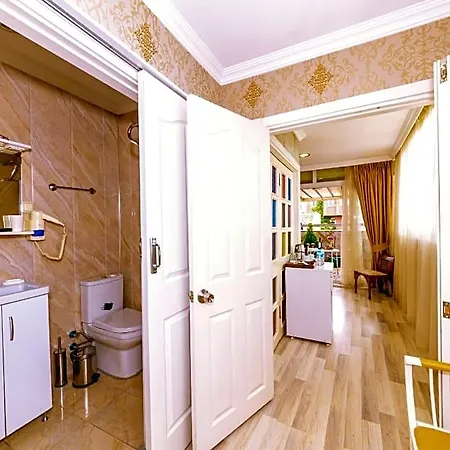 Walnut Shell 3*