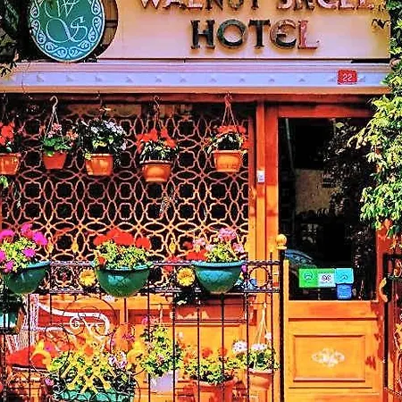 Hotel Walnut Shell Istanbul