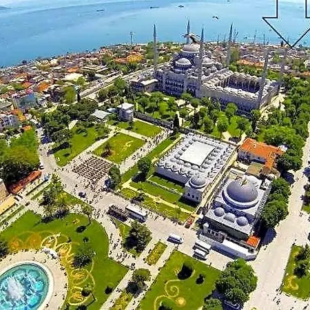 Walnut Shell Istanbul
