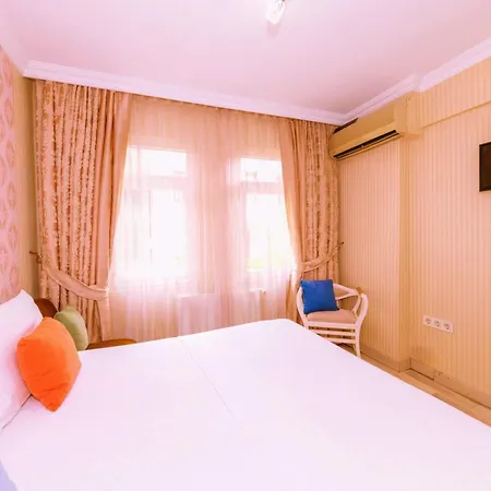 Walnut Shell 3*