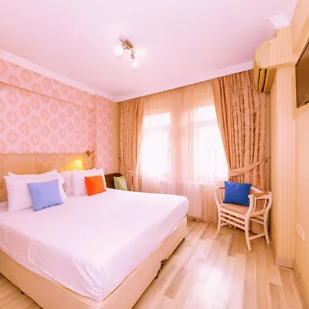 Walnut Shell Istanbul
