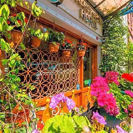 Walnut Shell - Old Sultanahmet Istanbul