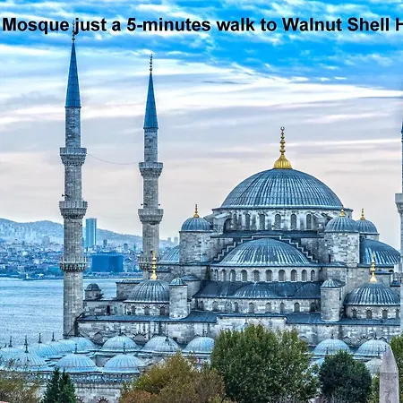 Walnut Shell ホテル