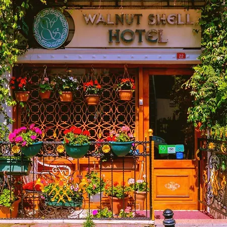 Walnut Shell Istanbul