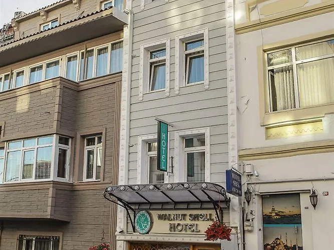 Walnut Shell İstanbul