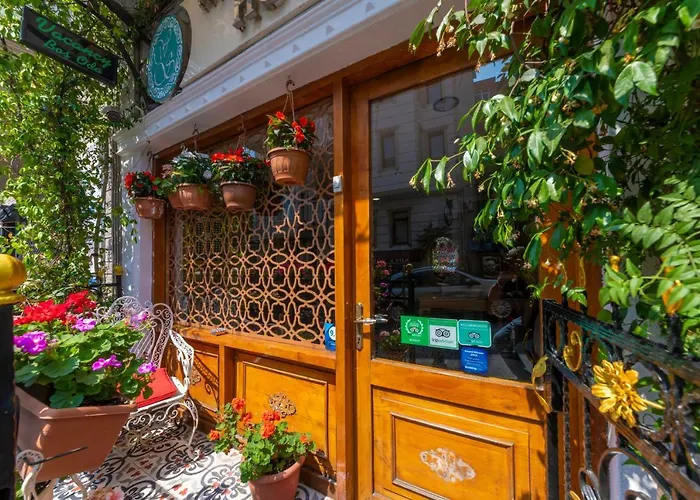 Walnut Shell İstanbul