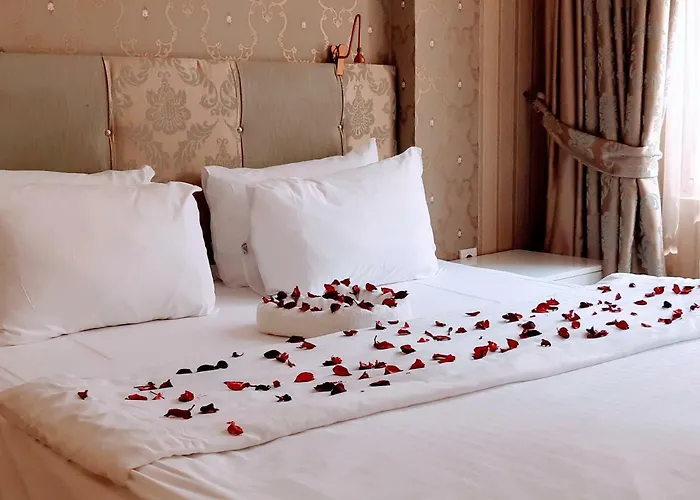 Walnut Shell 3* İstanbul