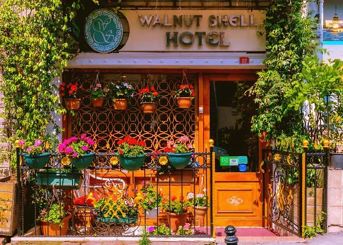 Walnut Shell اسطنبول