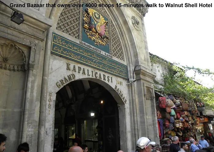 فندق Walnut Shell