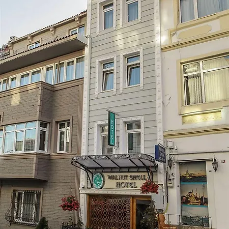 Walnut Shell Sultanahmet Istanbul