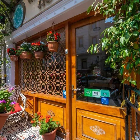 Walnut Shell Sultanahmet Istanbul