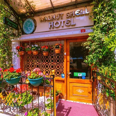 Walnut Shell Sultanahmet
