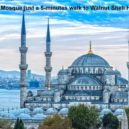 Walnut Shell Sultanahmet Hotel