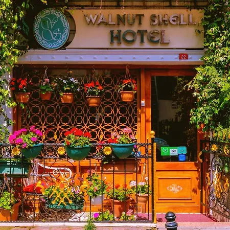 Walnut Shell Sultanahmet Istanbul