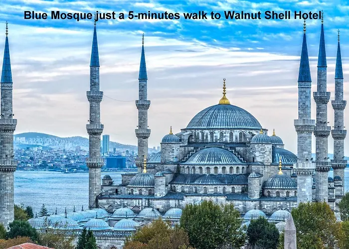 Walnut Shell Ξενοδοχείο